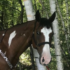 Meet your Posher, Morgan